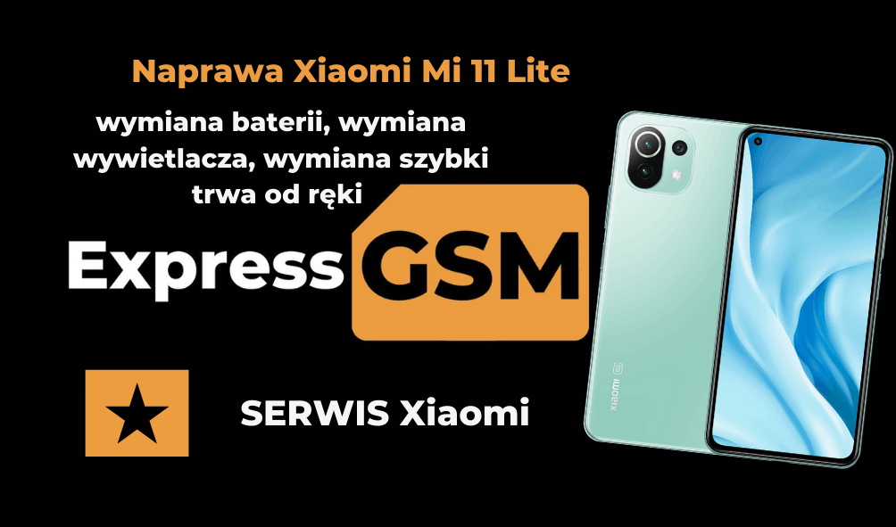 Naprawa Xiaomi Mi 11 Lite